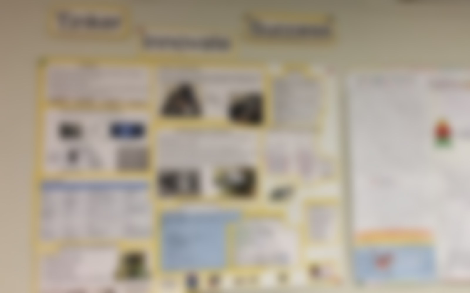 A privacy-reviewed project presentation wall